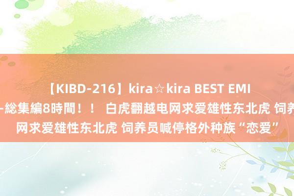 【KIBD-216】kira☆kira BEST EMIRI-中出し性交20発超え-総集編8時間！！ 白虎翻越电网求爱雄性东北虎 饲养员喊停格外种族“恋爱”