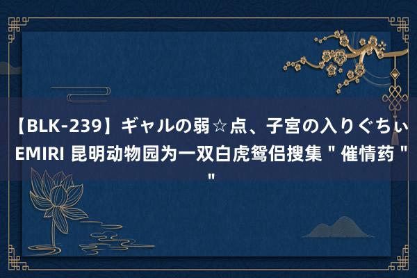 【BLK-239】ギャルの弱☆点、子宮の入りぐちぃ EMIRI 昆明动物园为一双白虎鸳侣搜集＂催情药＂