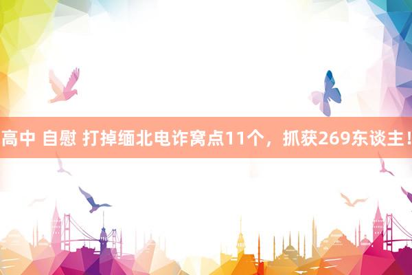 高中 自慰 打掉缅北电诈窝点11个，抓获269东谈主！