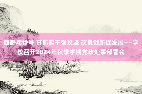 西野翔番号 真抓实干强攻坚 改良创新促发展——学校召开2024年秋季学期党政处事部署会