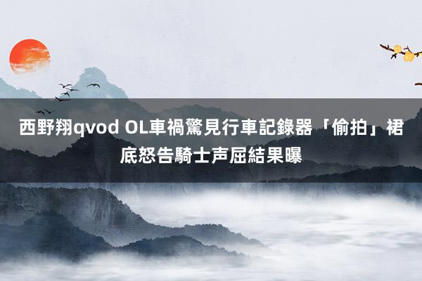 西野翔qvod OL車禍驚見行車記錄器「偷拍」裙底怒告　騎士声屈結果曝