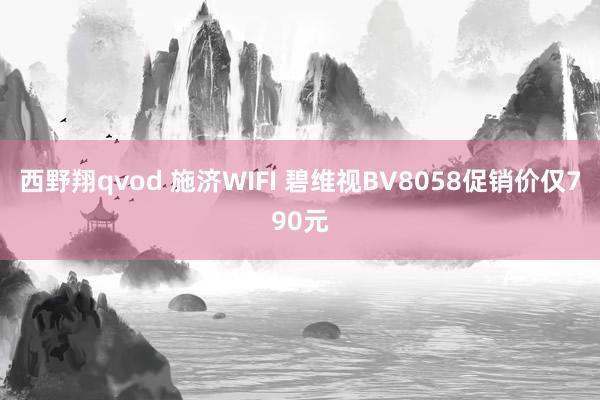 西野翔qvod 施济WIFI 碧维视BV8058促销价仅790元