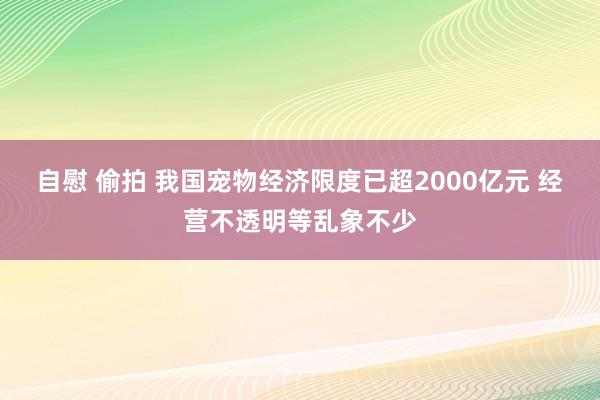 自慰 偷拍 我国宠物经济限度已超2000亿元 经营不透明等乱象不少