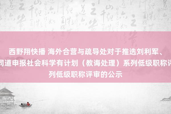 西野翔快播 海外合营与疏导处对于推选刘利军、陈瑶两位同道申报社会科学有计划（教诲处理）系列低级职称评审的公示