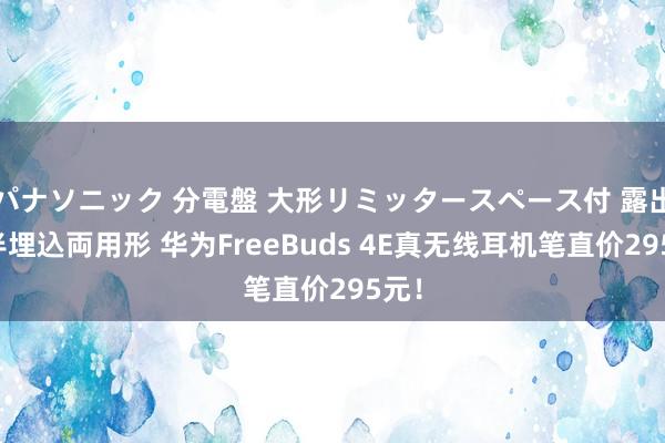 パナソニック 分電盤 大形リミッタースペース付 露出・半埋込両用形 华为FreeBuds 4E真无线耳机笔直价295元！