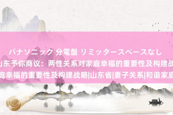 パナソニック 分電盤 リミッタースペースなし 露出・半埋込両用形 山东予你商议：两性关系对家庭幸福的重要性及构建战略|山东省|妻子关系|和谐家庭